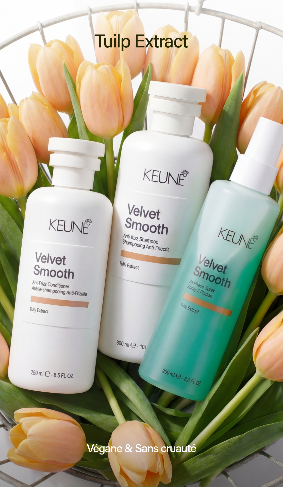 Vous luttez contre les frisottis et cheveux indisciplinés ? Le shampooing Keune Velvet Smooth offre le meilleur soin cheveux, lissant et adoucissant jusqu'à 48 heures.